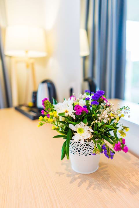 Zimmer CNic Gemini Hotel