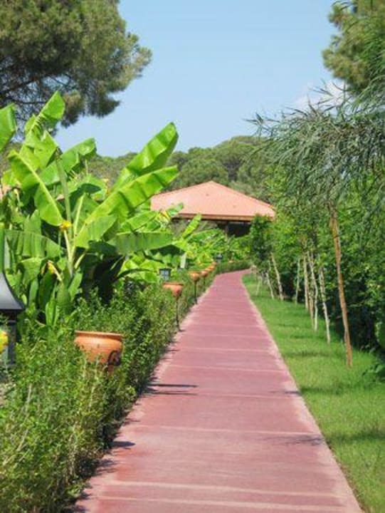 Долгая дорога с моря IC Hotels Green Palace & Villas