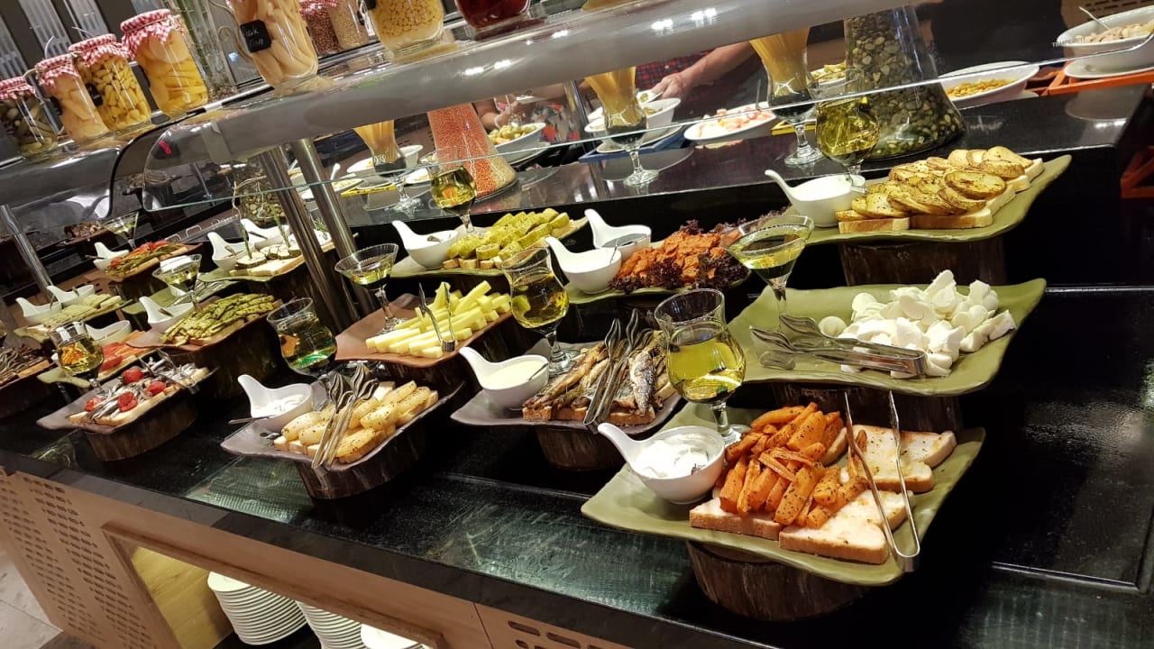 Gastro Seashell Vega