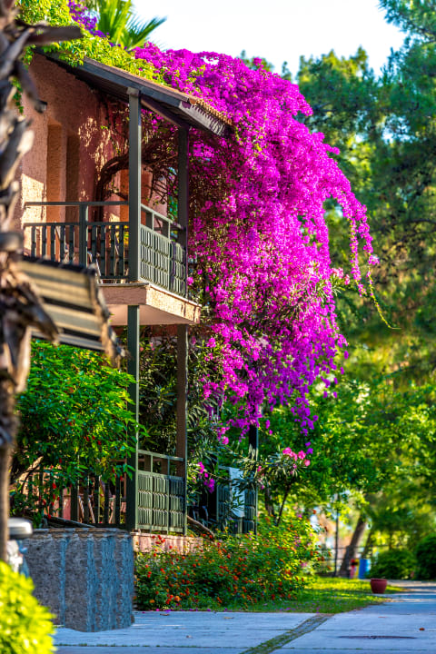 Gartenanlage Grand Yazici Club Marmaris Palace