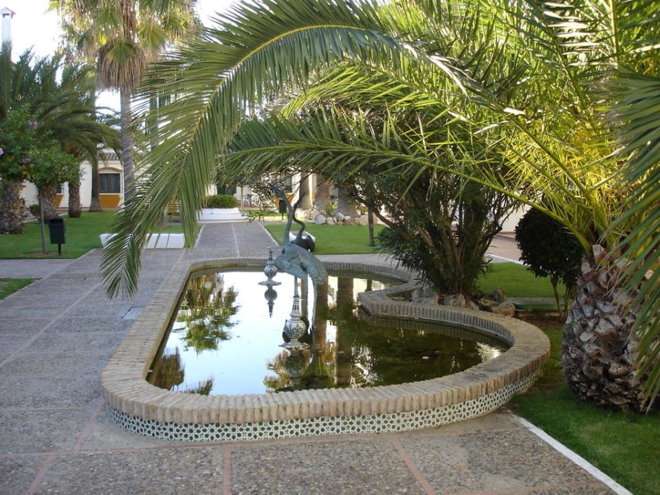 Kleiner Teich im Patio Hotel Playa de la Luz
