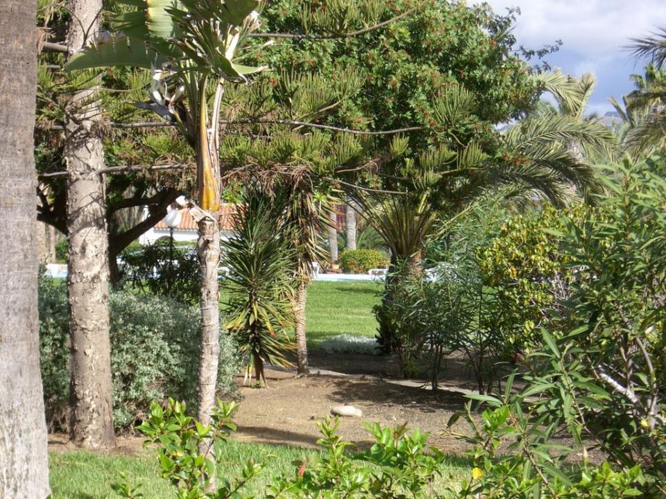 Traumhafter Garten Sun Club Playa del Ingles