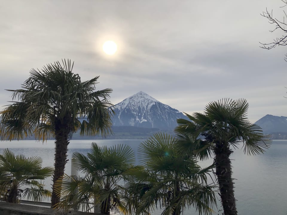 Ausblick Beatus Wellness- & Spa-Hotel