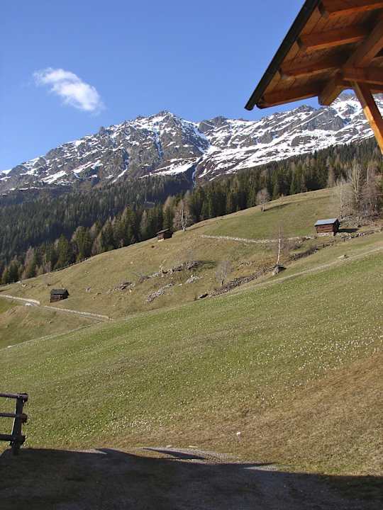 Pension Wiesenhof Wiesenhof