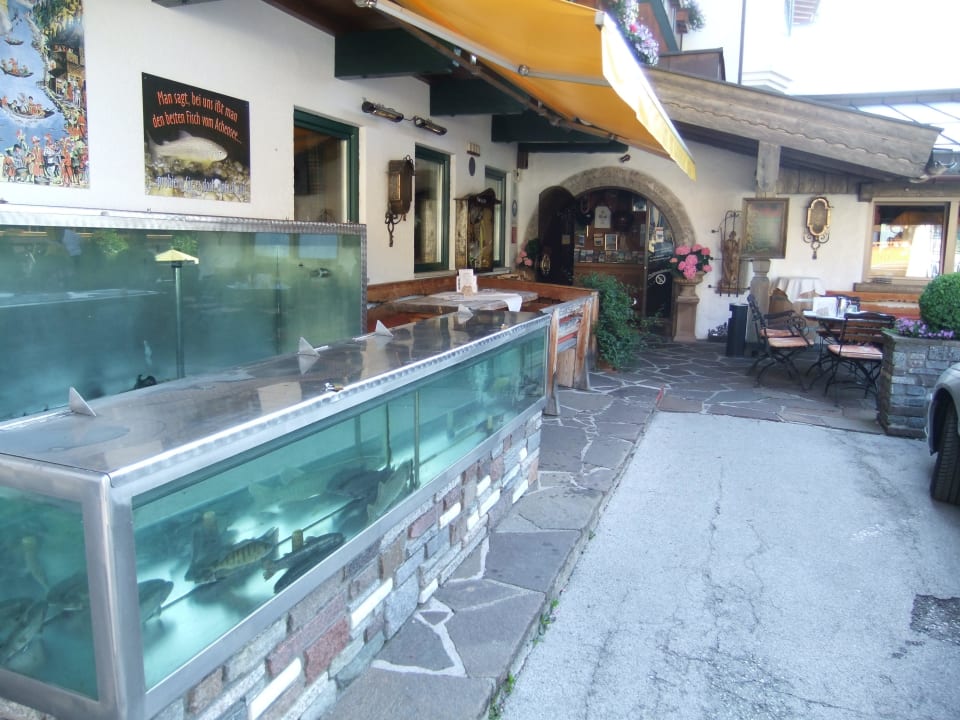 Eingang zum Hotel mit Aquarium Hotel Rotspitz
