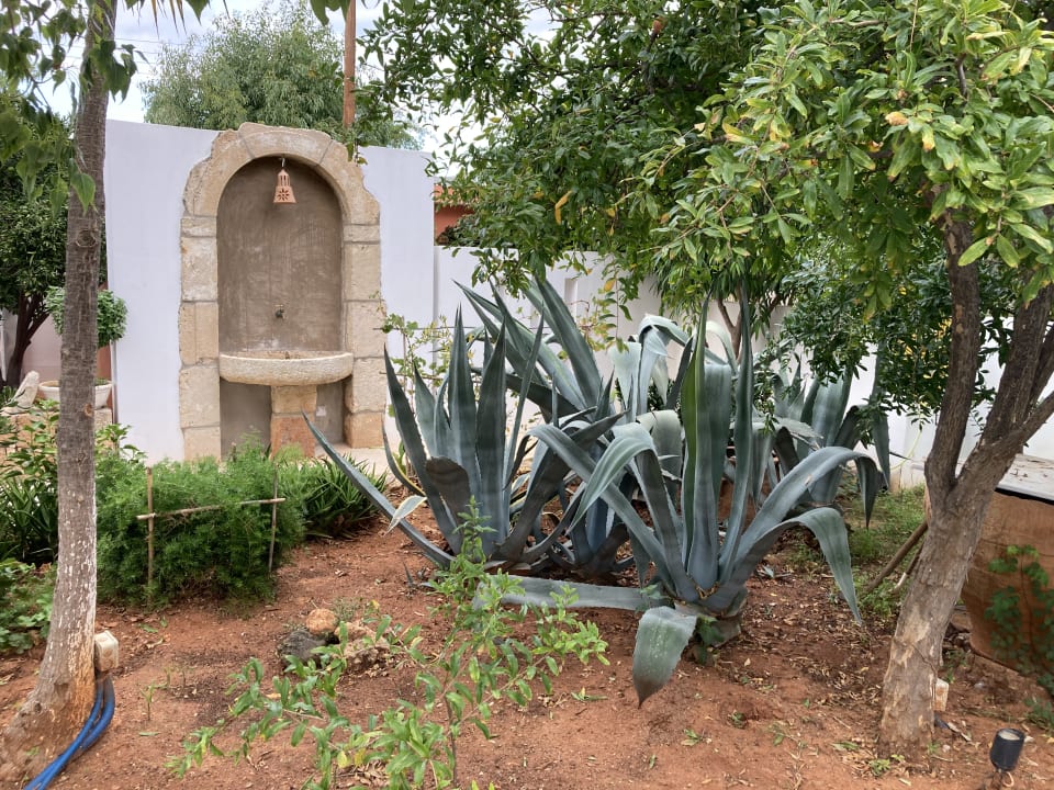 Gartenanlage Kalypso Hotel