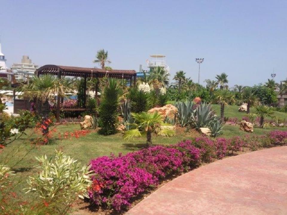 Gartenanlage Hotel Miracle Resort