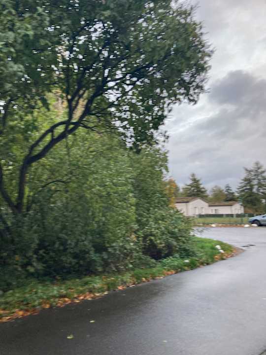 Ausblick Seehotel Frankenhorst - BW Signature Collection