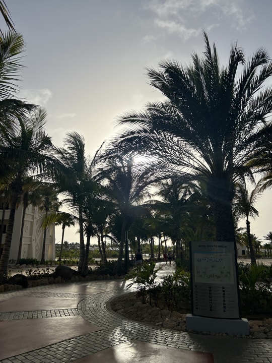 Gartenanlage Hotel Riu Karamboa
