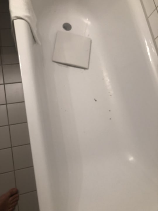 Zimmer Bergström Hotel Lüneburg