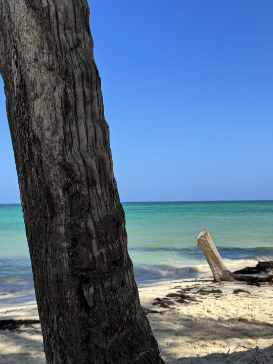 Strand Vista Sol Punta Cana