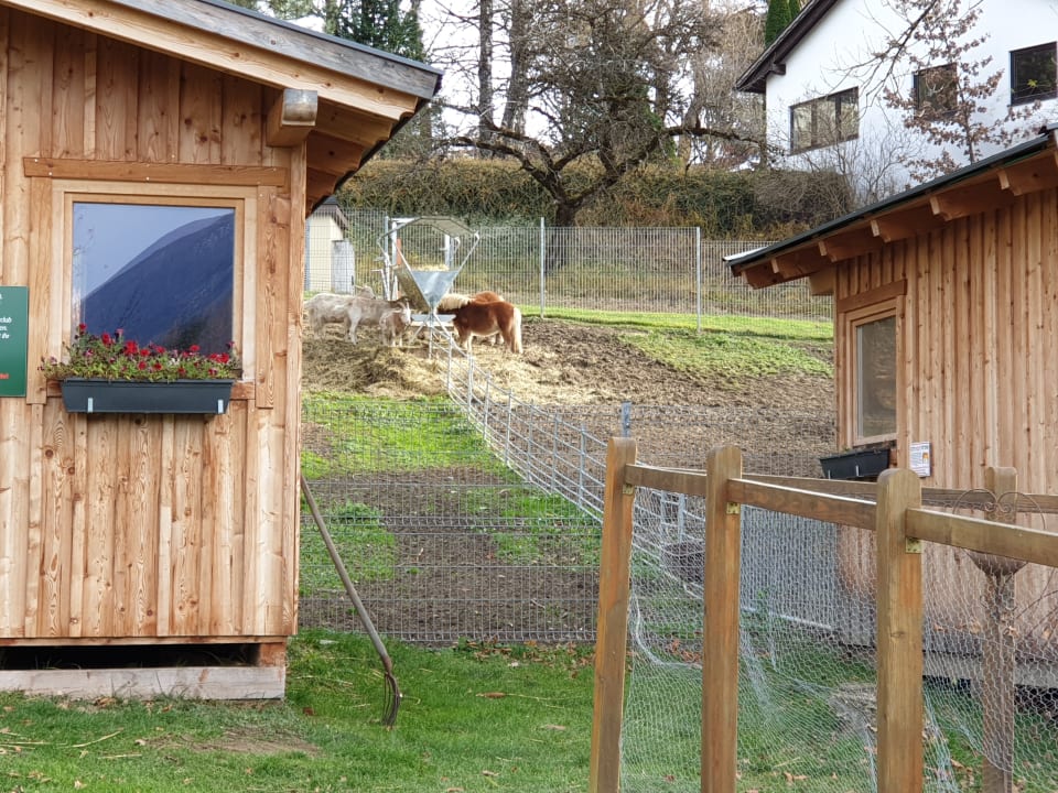 Sport & Freizeit Dilly - Das Nationalpark Resort