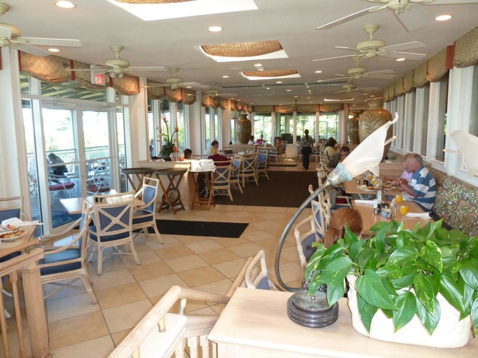 Paradise Café Hotel Hilton Marco Island