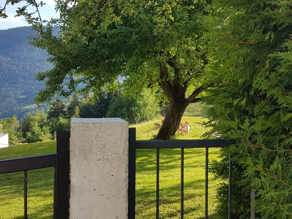 Gartenanlage Ferienhof Haderlehn