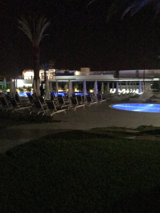 Pool Canary Garden Club