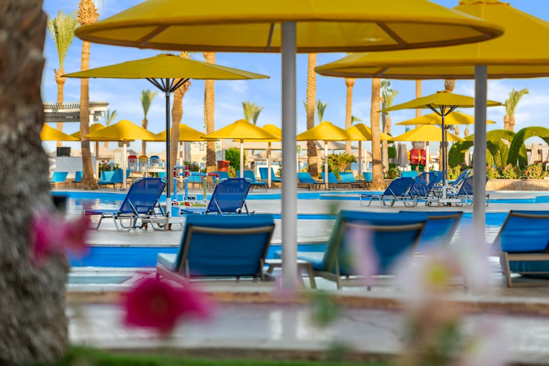 Pool Pickalbatros Palace Resort