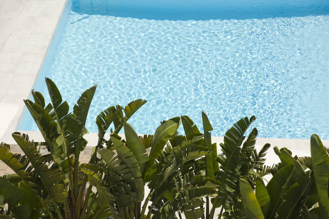 Pool Hotel Anfora Ibiza