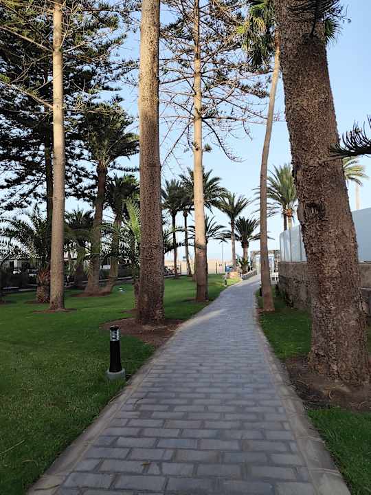 Strand Hotel Riu Palace Oasis