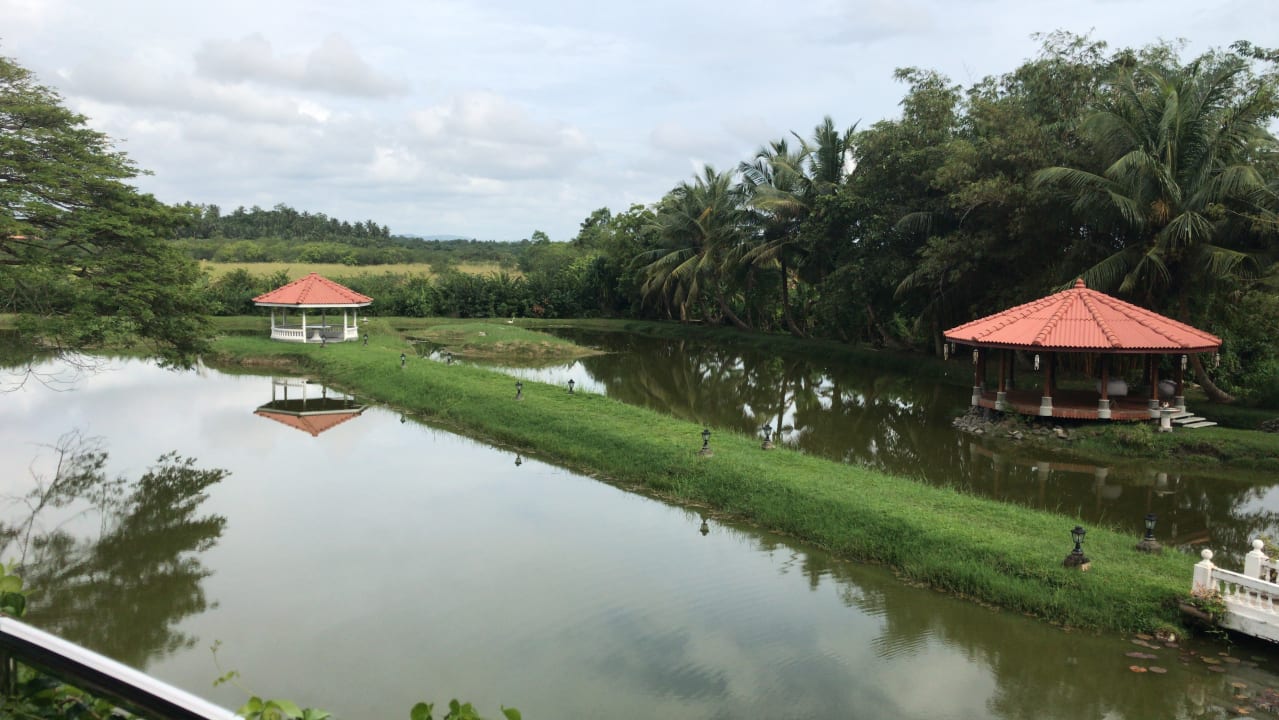 Ausblick Ayubowan Swiss Lanka Bungalow Resort