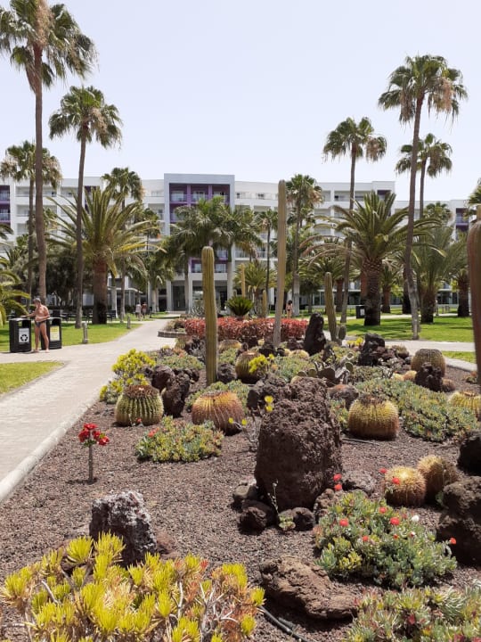 Gartenanlage Hotel Riu Gran Canaria