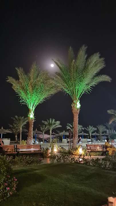 Strand Coral Sun Beach