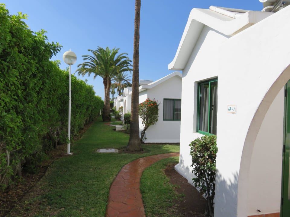 Anlage Canary Garden Club