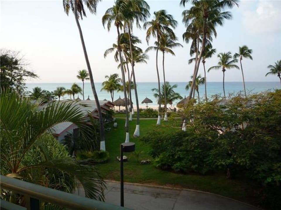 Ausblick Divi Aruba All Inclusive