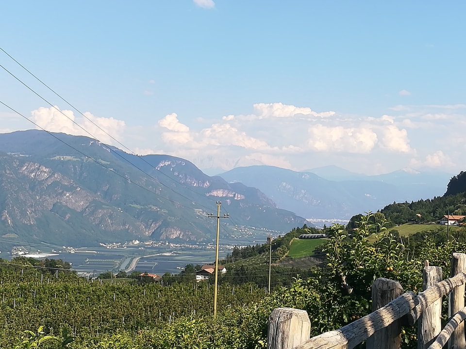 Ausblick Hotel Der Waldhof