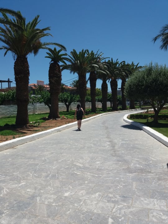 Weg zum Eingang Hotel Aphrodite Beach Club