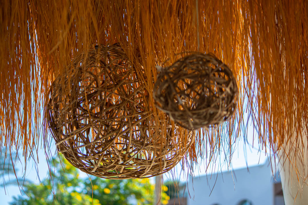 Sonstiges Desert Rose