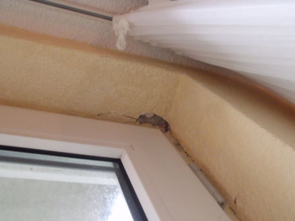 Löcher in der Wand Center Parcs Park Nordseeküste