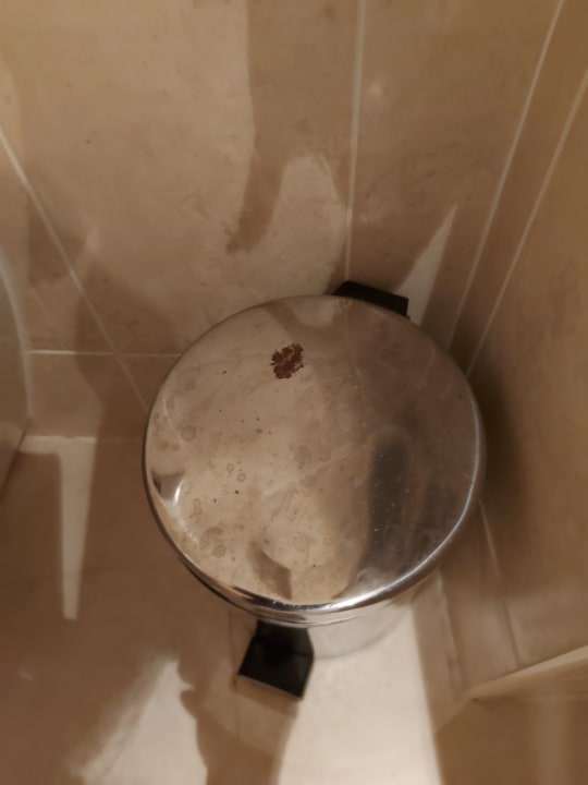 Zimmer Effect Grand Victoria Hotel