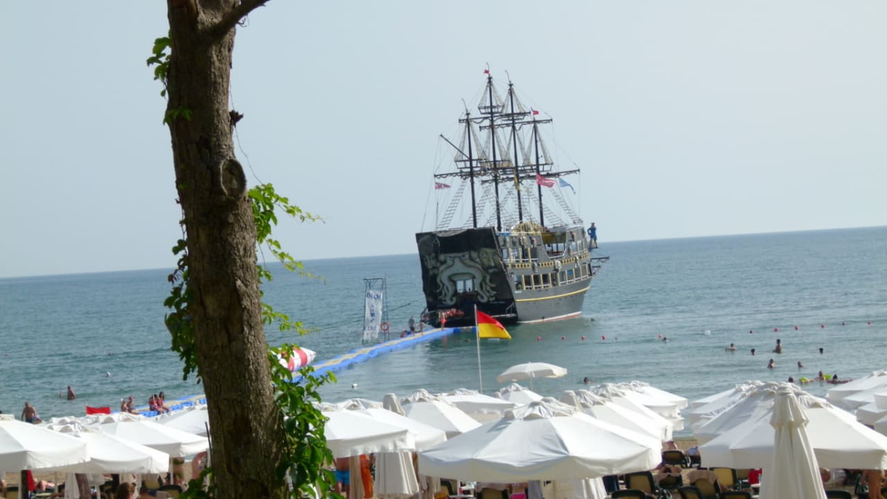 Strand Side Star Elegance