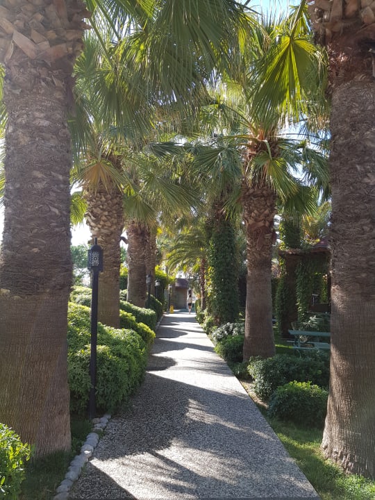 Gartenanlage Paloma Oceana
