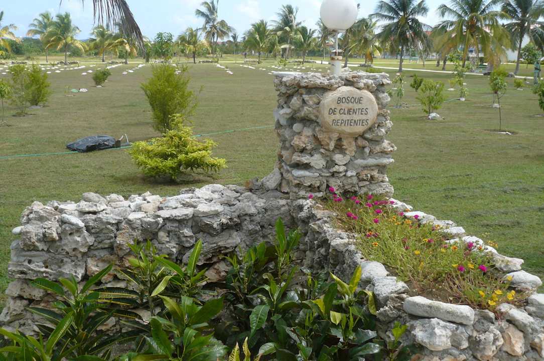Wald für Vielbesucher Hotel Playa Pesquero