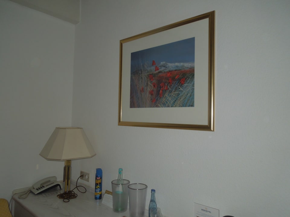 Zimmer Seehotel am Tankumsee