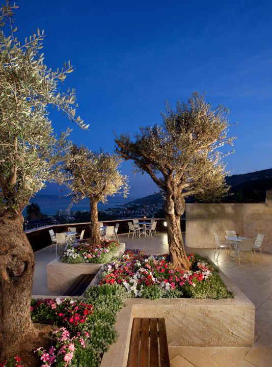 Gartenanlage Hotel Prima Galil Tiberias