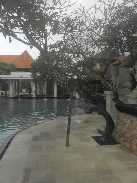 Pool frühmorgens Puri Santrian