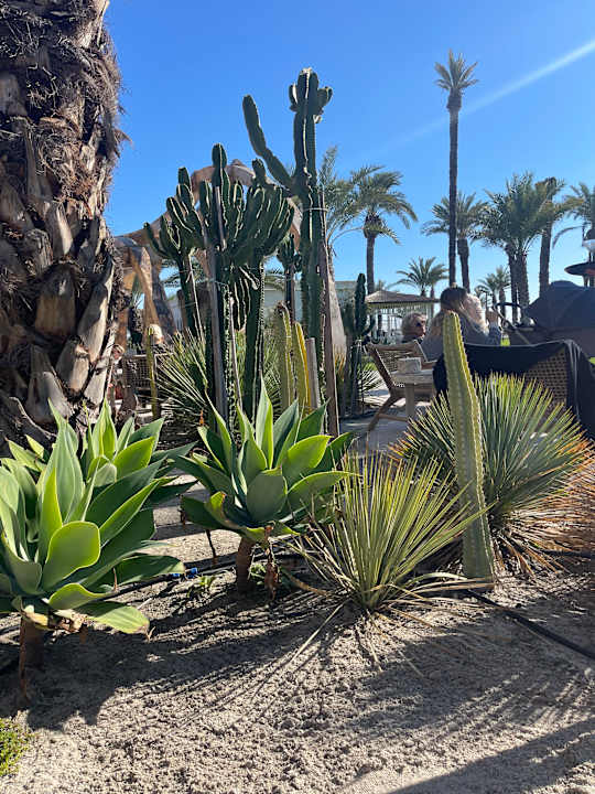 Gartenanlage Cullinan Belek