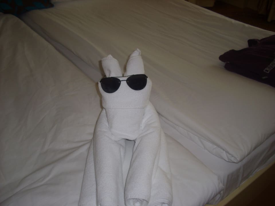 Einer beaufsichtigt alles Hotel Delphin Diva