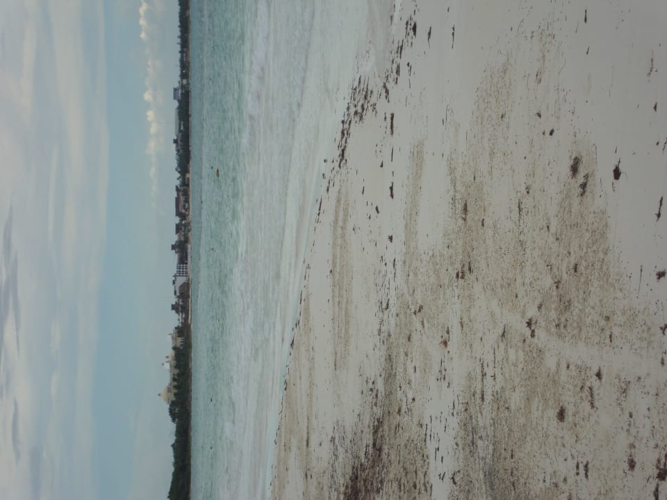 Hotel Catalonia Playa Maroma Catalonia Playa Maroma