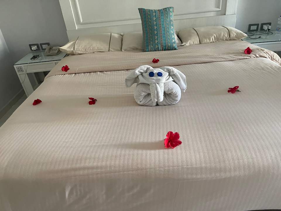 Zimmer The Grand Palace - Adults only