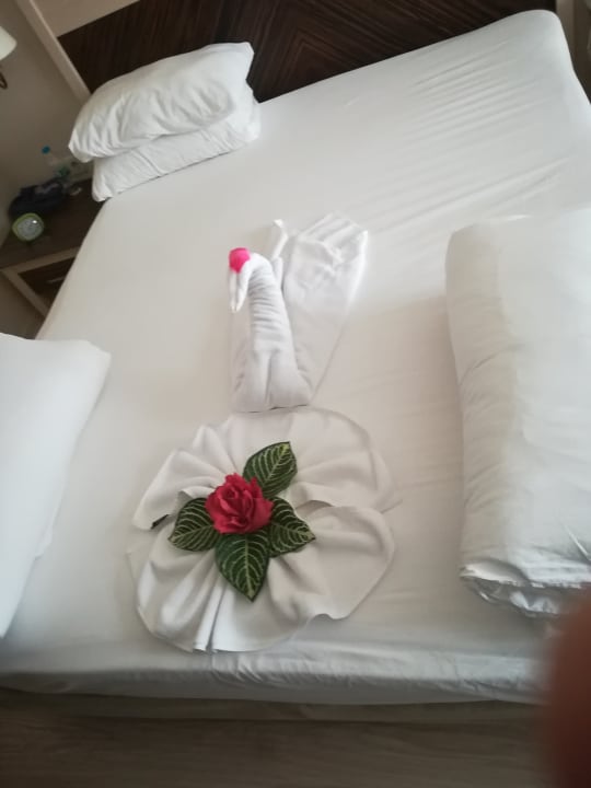 Zimmer Aydinbey Kings Palace & Spa