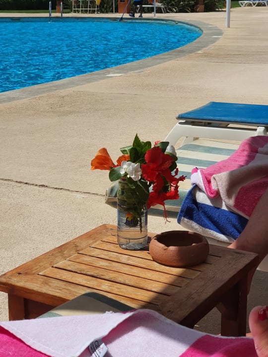 Pool Stella Beach Resort & Spa Makadi Bay