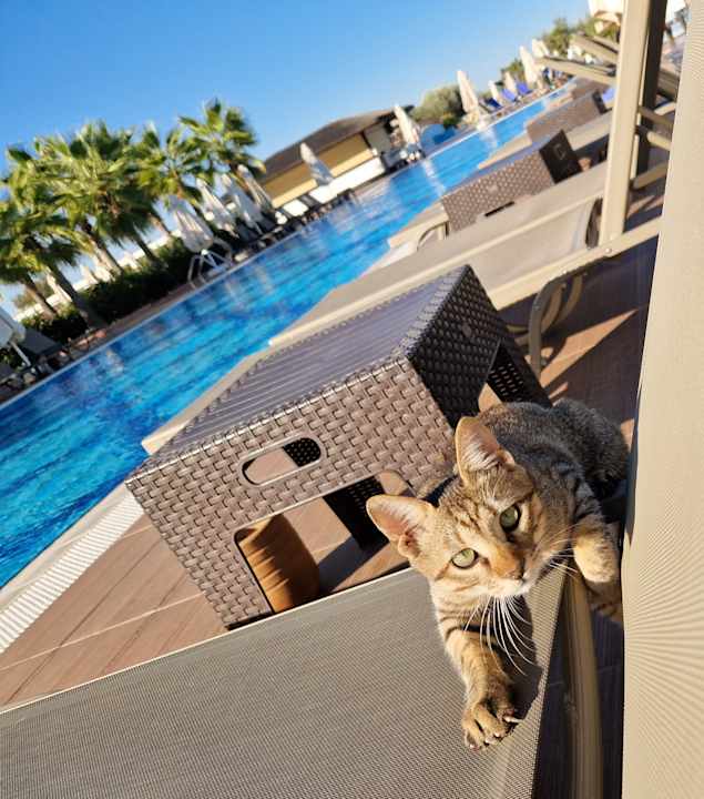 Sonstiges Korumar Ephesus Beach & Spa Resort