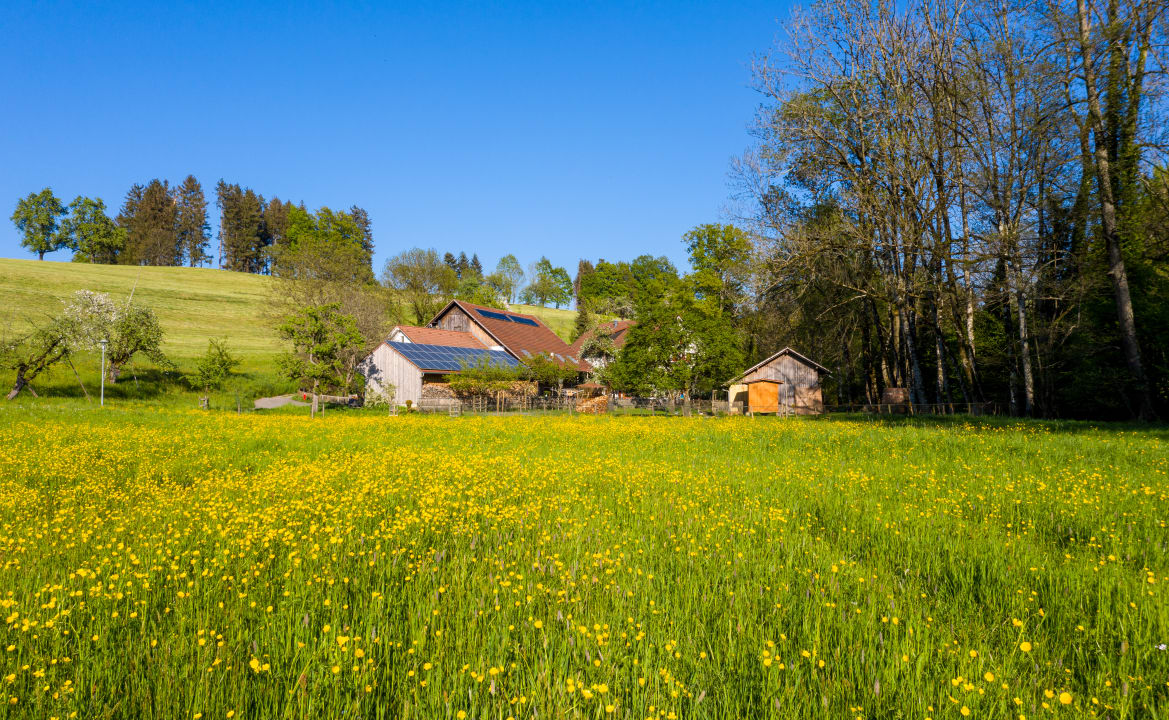 Gartenanlage Landhotel Martinsmühle