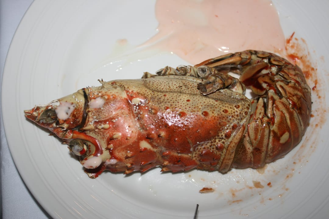 Gastro Bahia Principe Grand Samana - Adults Only