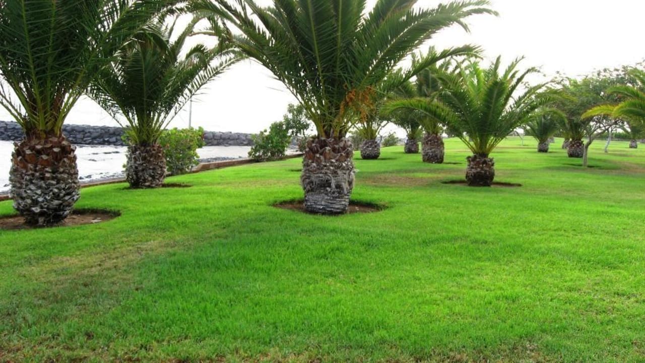 Gartenanlage Hotel Riu Palace Tenerife