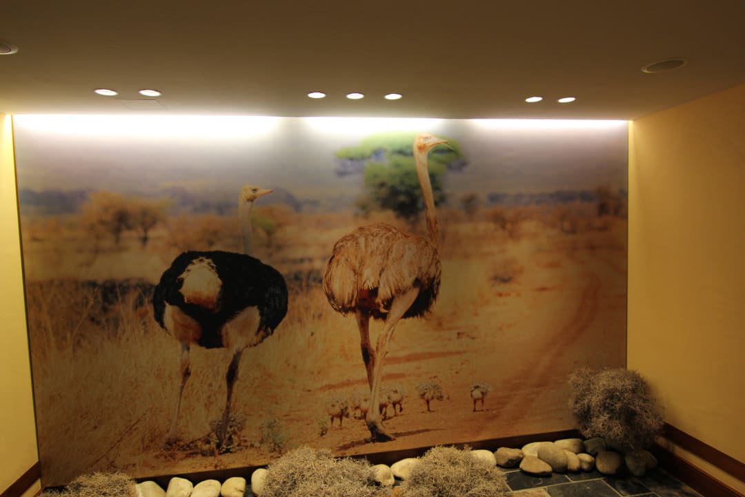 Themenwelt der einzelnen Etagen Park-Hotel Hagenbeck