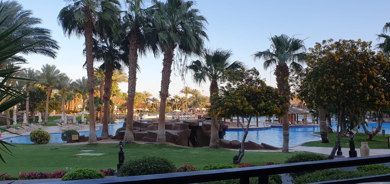 Gartenanlage Steigenberger ALDAU Beach Hotel